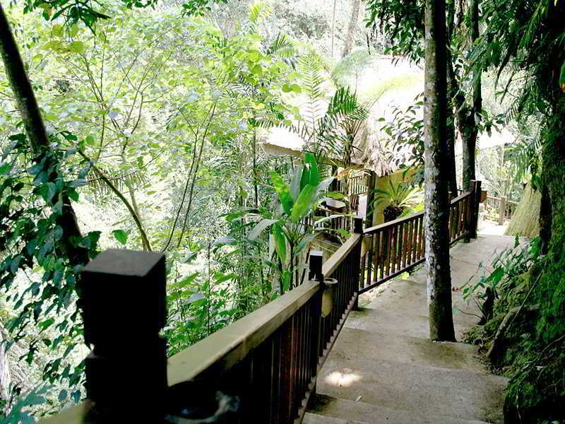 Natura Villa Ubud Exterior foto